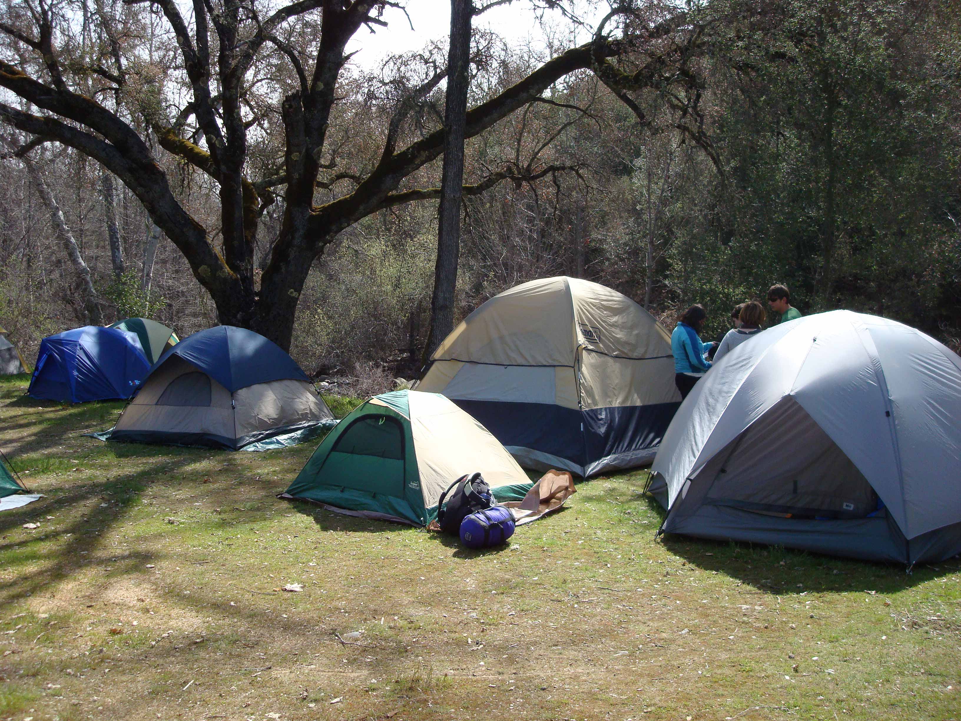 Big
                  Sur