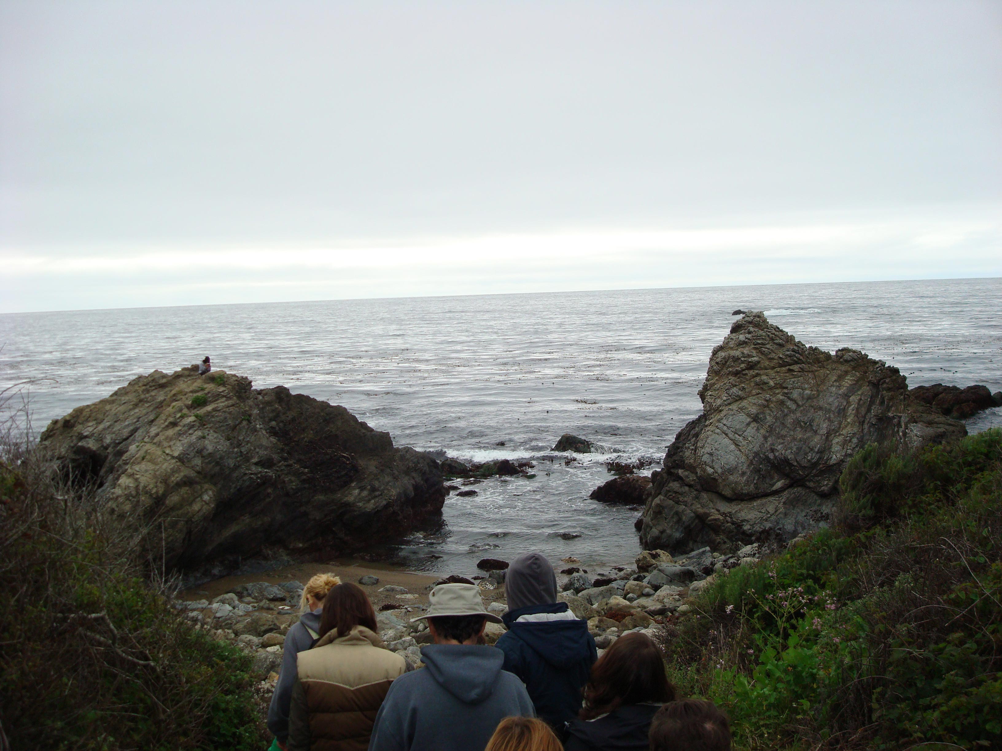 Big
                  Sur