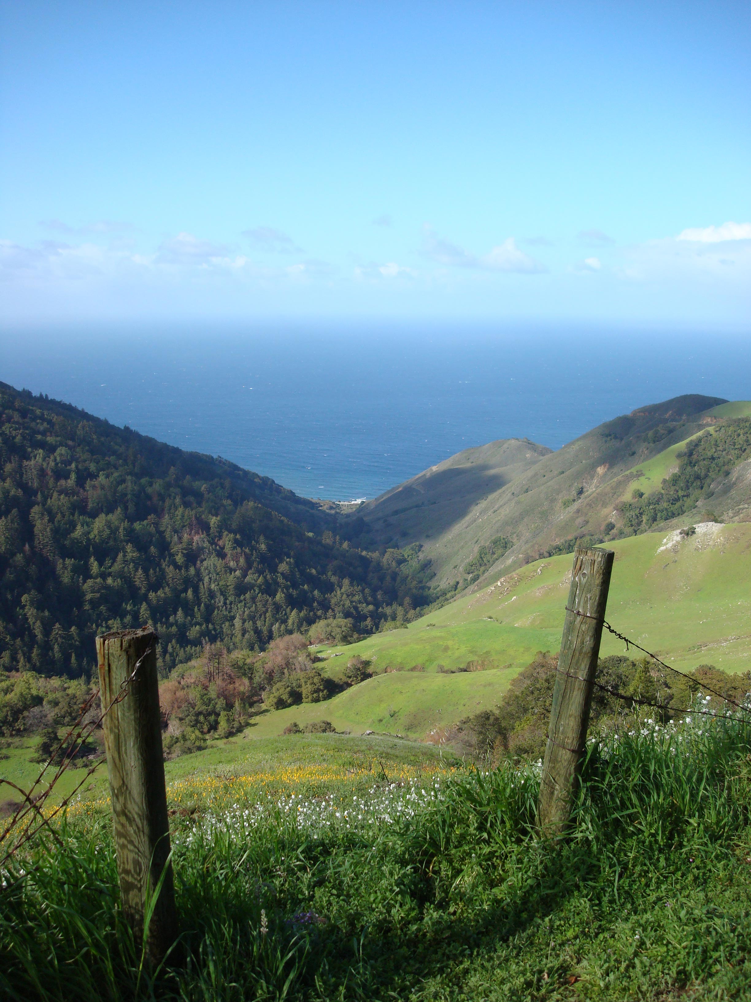 Big
                  Sur