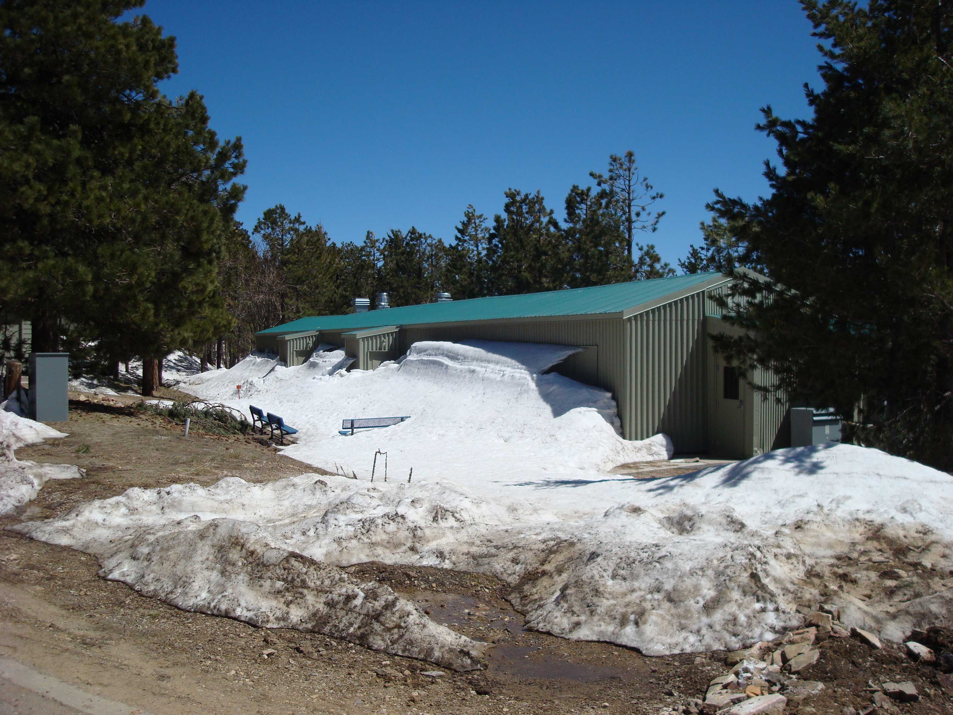 Mt.
                  Lemon
