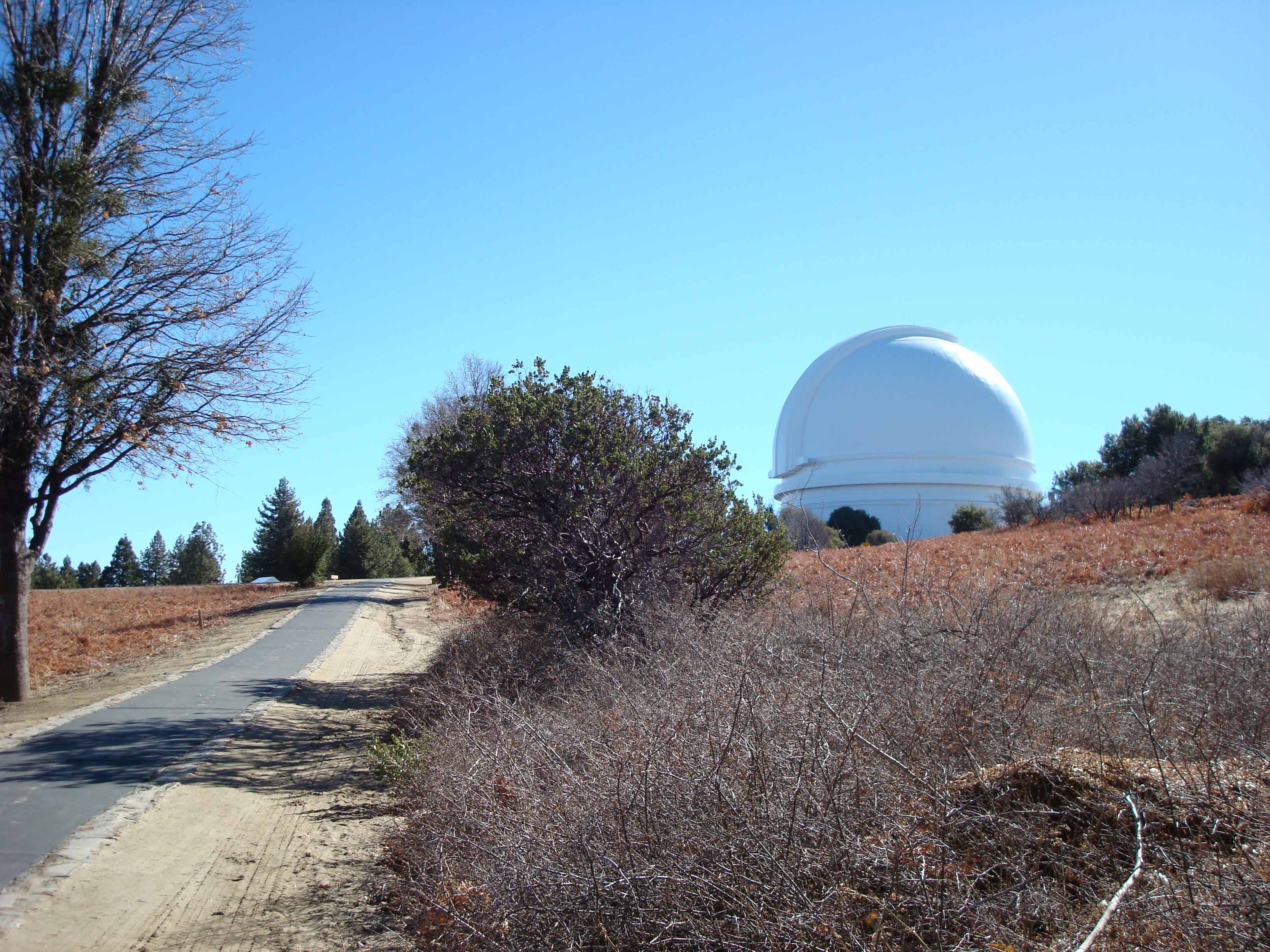 Mt. Palomar