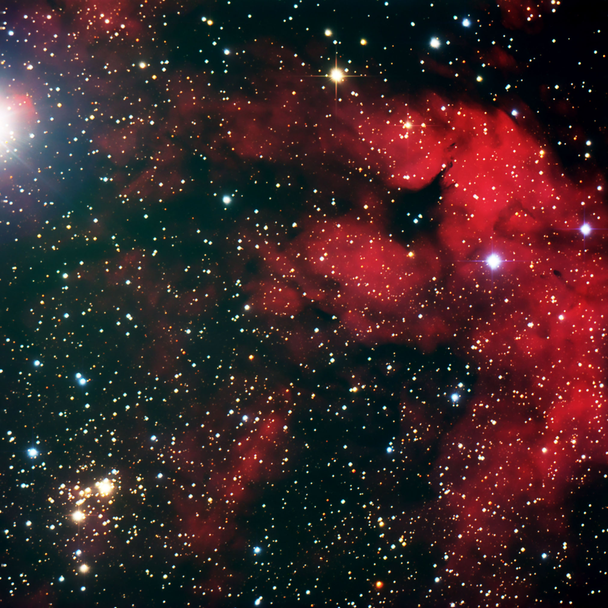 ic1318h56-8-1