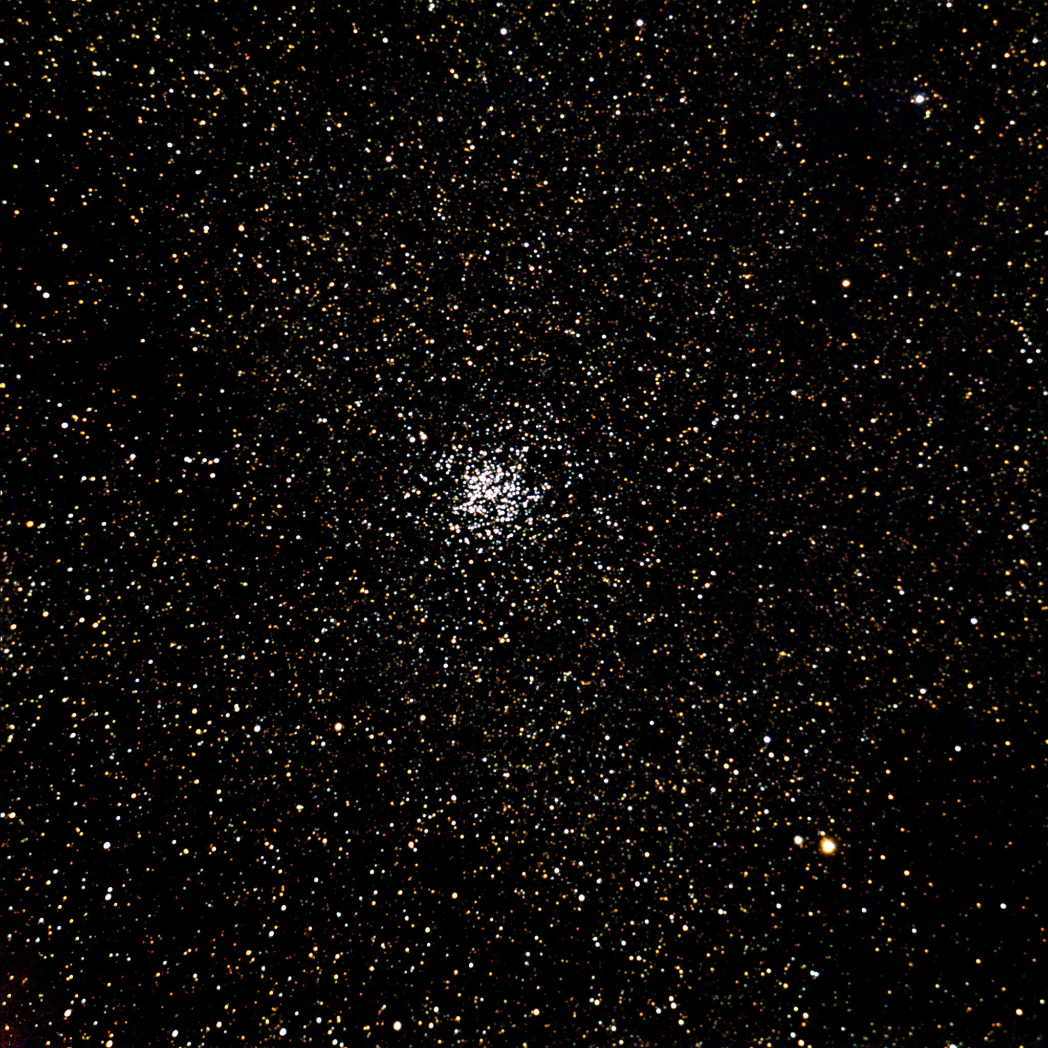 m11
