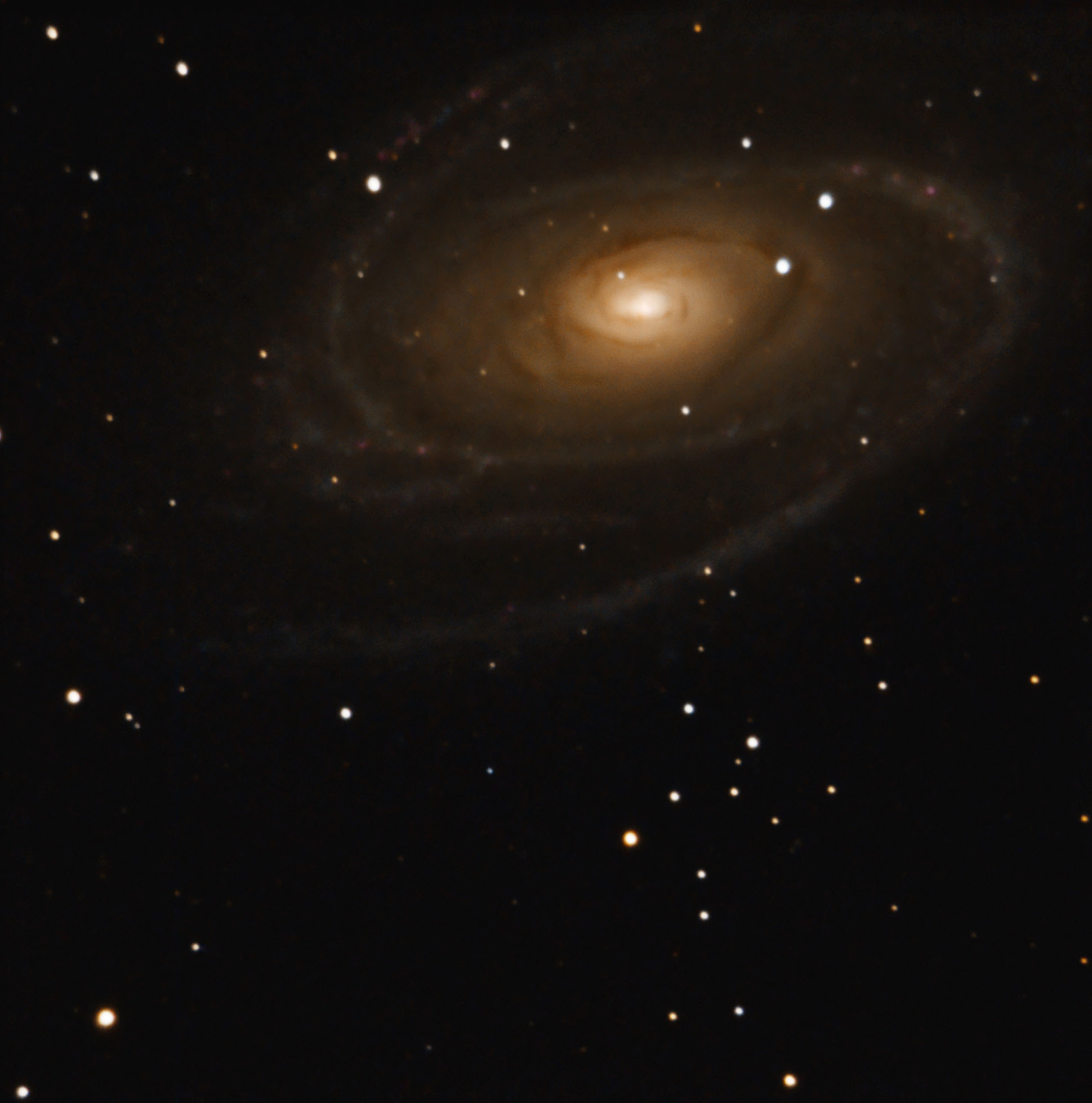 m81