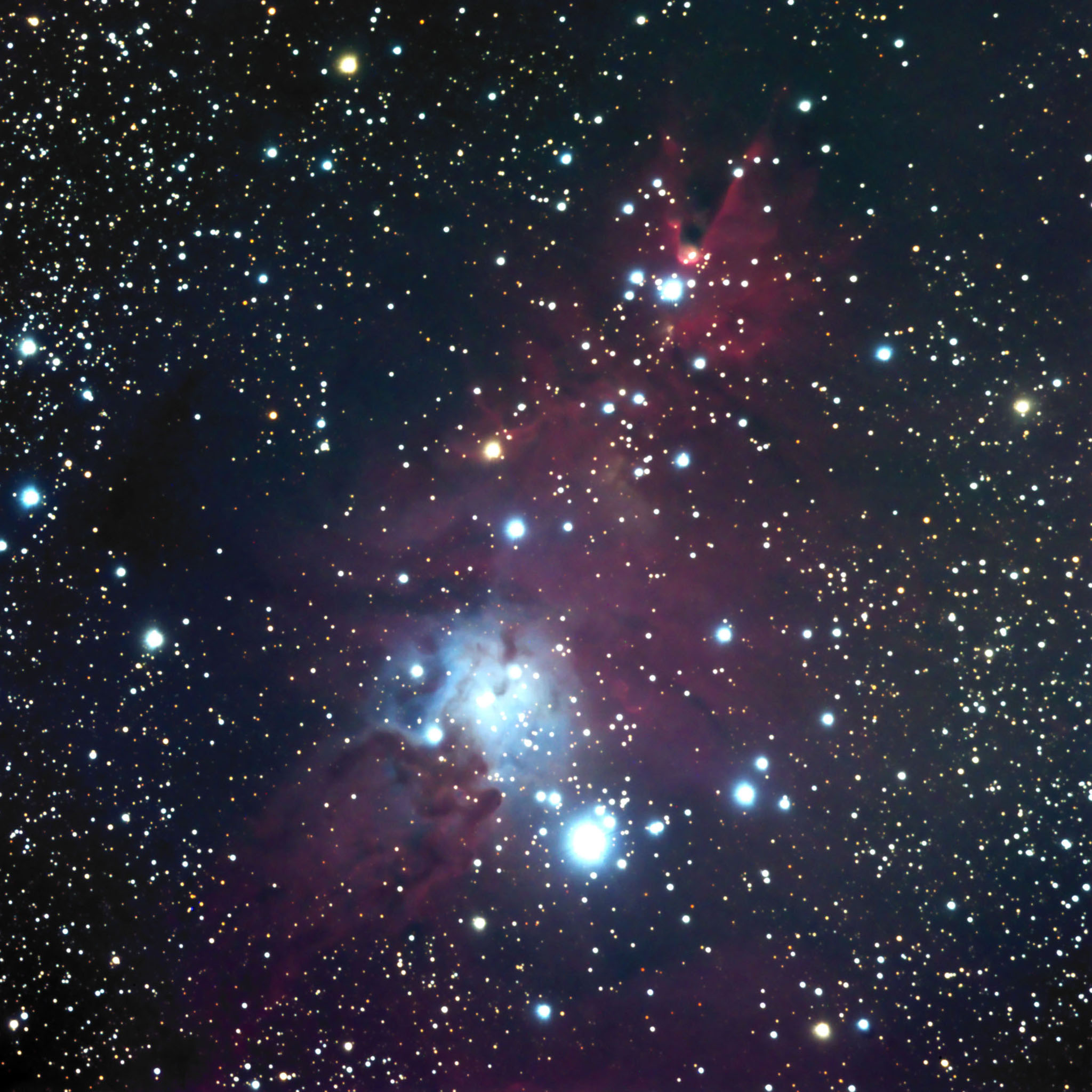 ngc2264