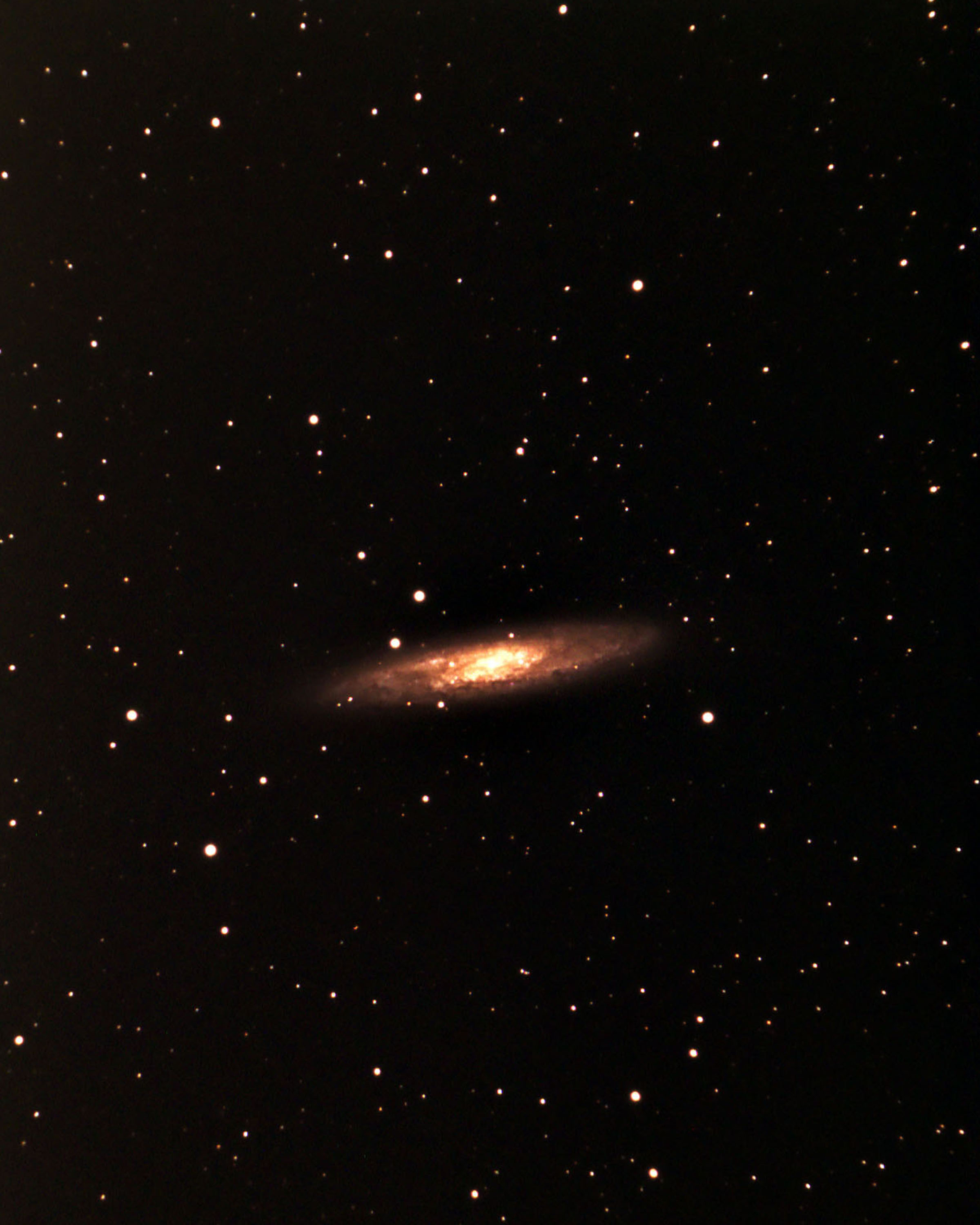 ngc253