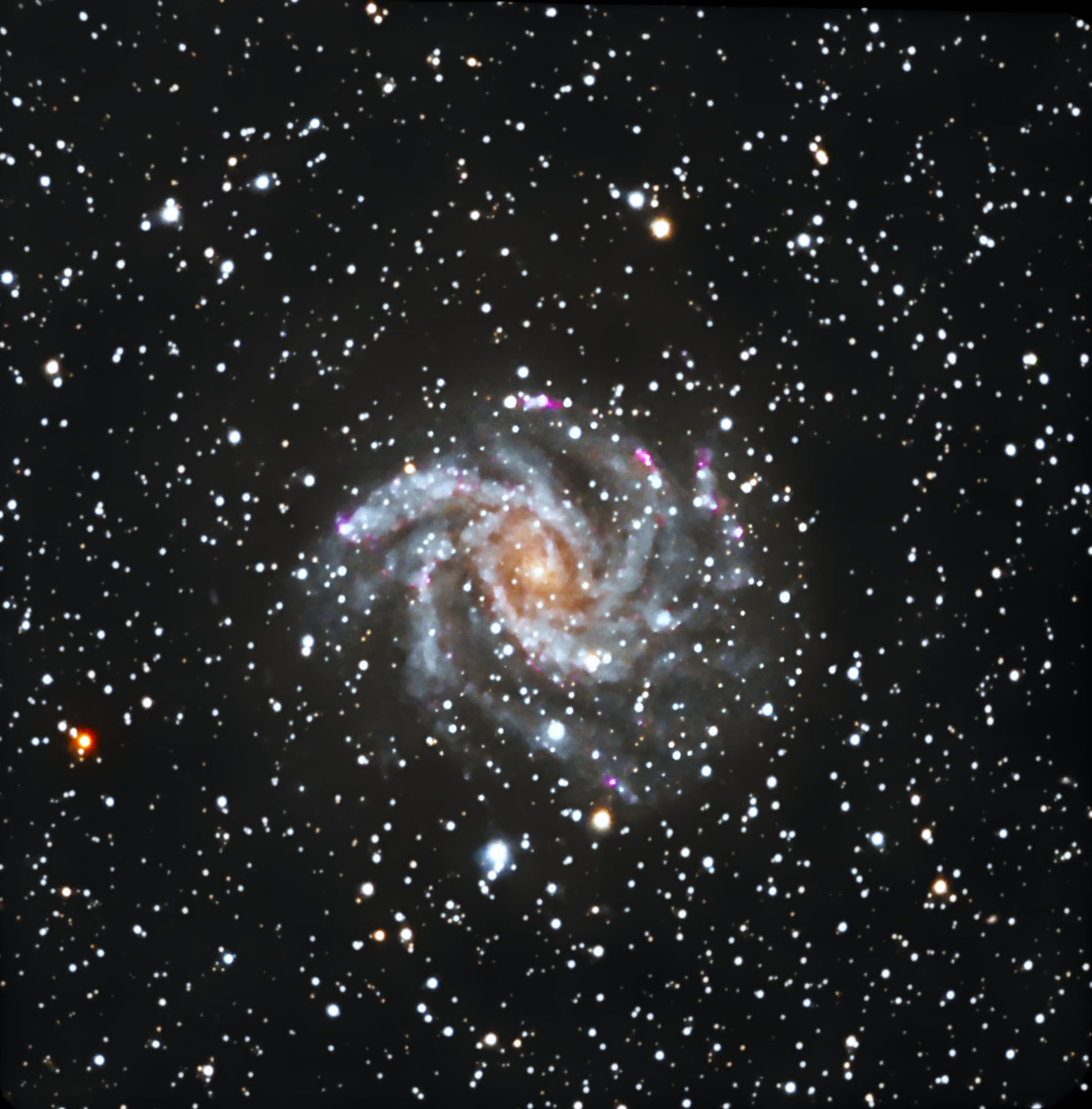 ngc6946-1