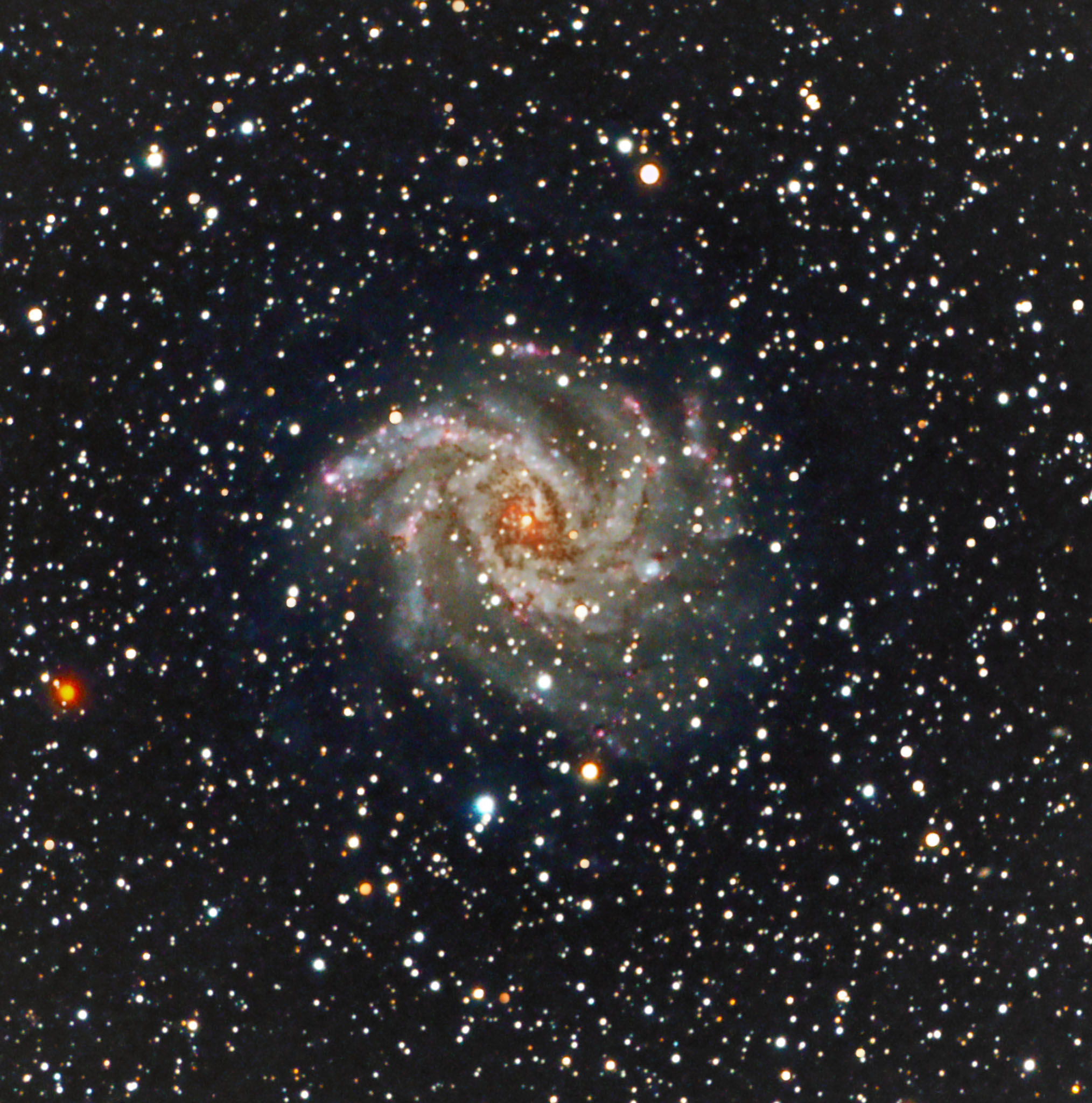 ngc6946