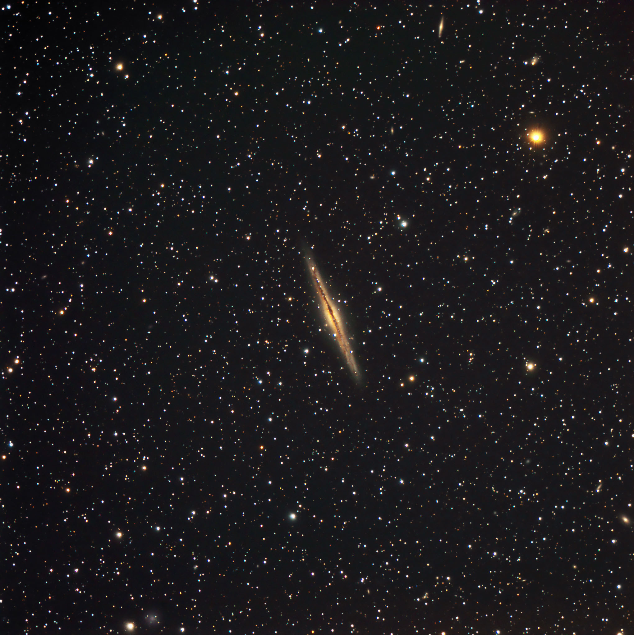 ngc891
